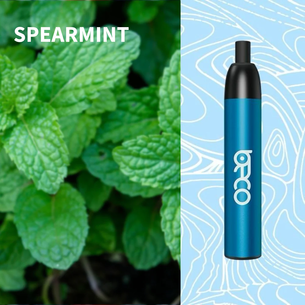 Beco Mesh X 4500 Puffs Disposable Vape Non-Rechargeable - Image 4