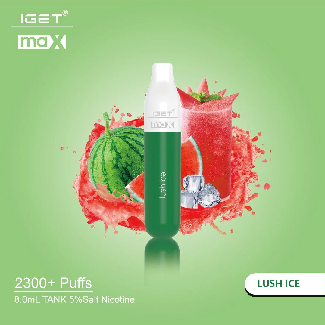 IGET MAX Disposable Pod Device (2300 PUFFS) - Image 14
