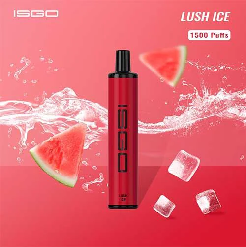 ISGO PARIS DISPOSABLE POD SYSTEM 50mg (1500 Puffs) - Image 13