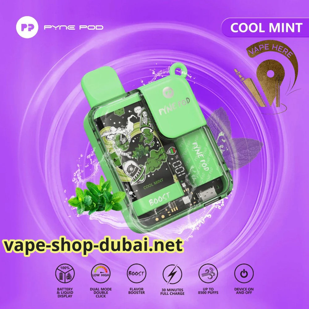 PYNE POD 8500 PUFFS DISPOSABLE VAPE - Image 6