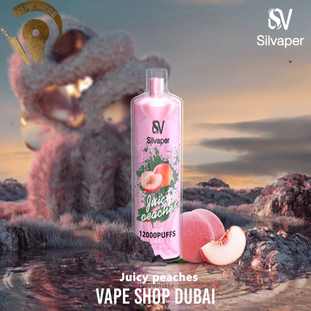 SILVA ROCK DISPOSABLE VAPE DTL 12000 PUFFS - Image 4