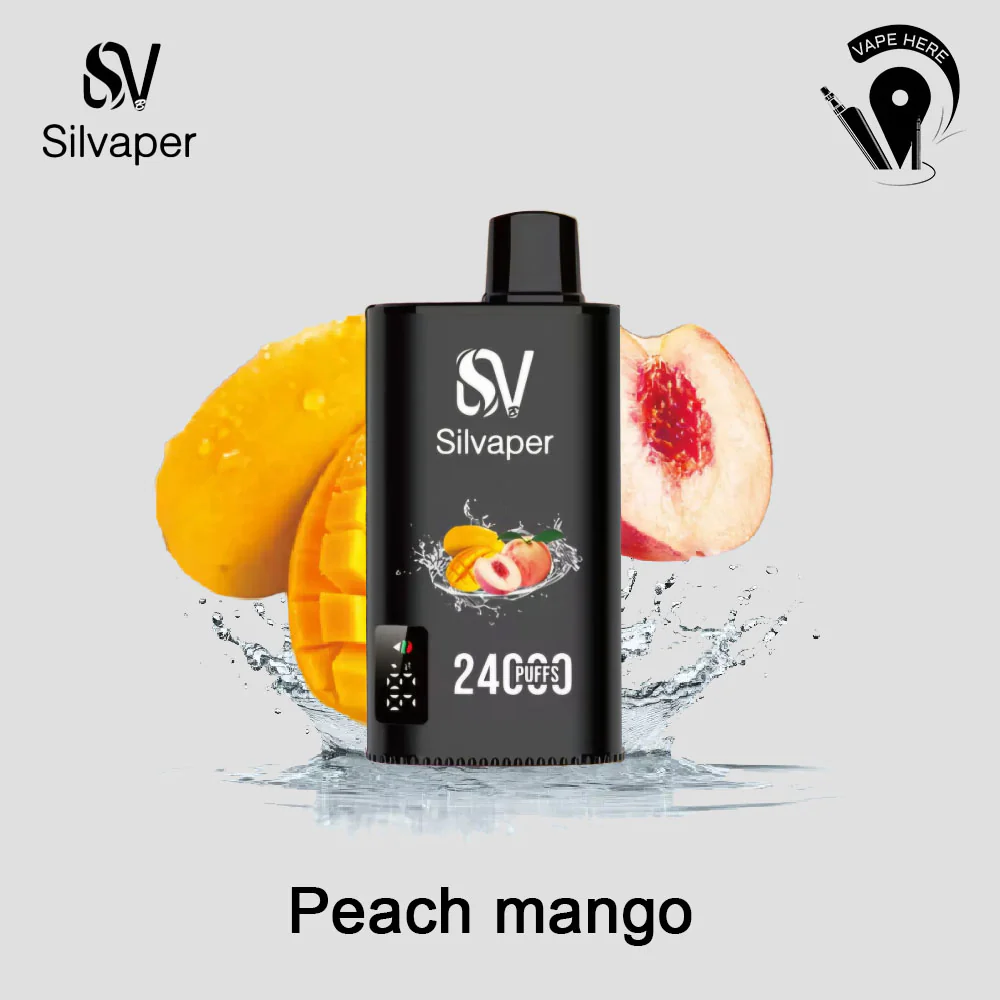 SILVAPER 24000 PUFFS DISPOSABLE VAPE - Image 21