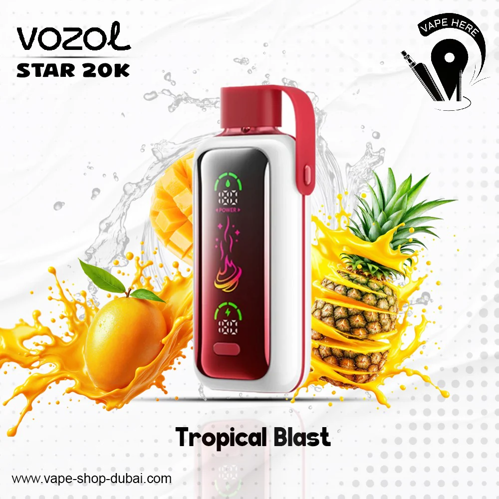 VOZOL STAR 20,000 PUFFS DISPOSABLE VAPE - Image 17