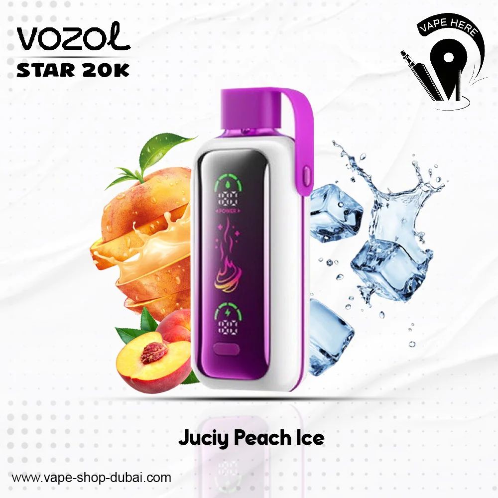 VOZOL STAR 20,000 PUFFS DISPOSABLE VAPE - Image 19