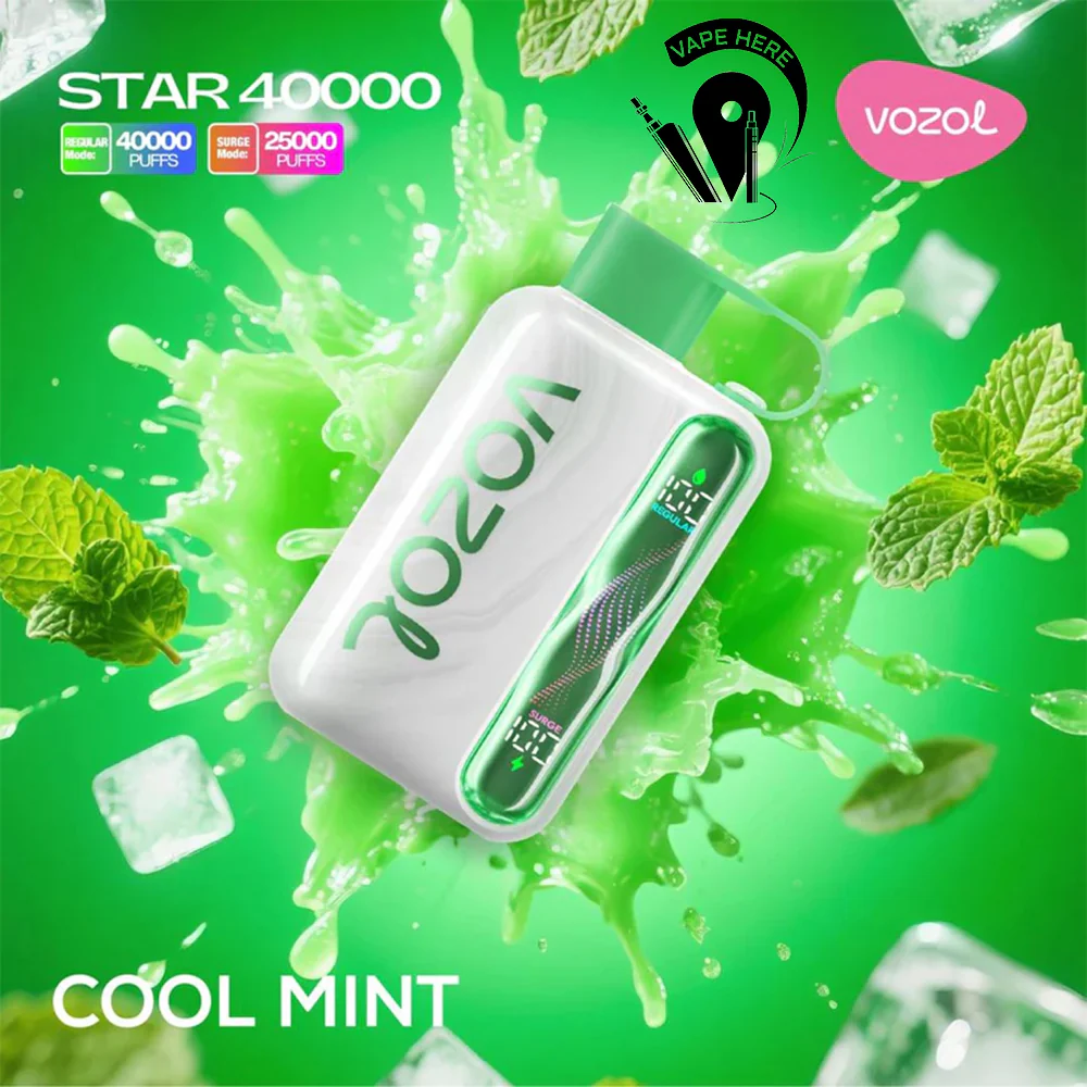 VOZOL STAR 40K DISPOSABLE VAPE (Dual Power Mode) - Image 19