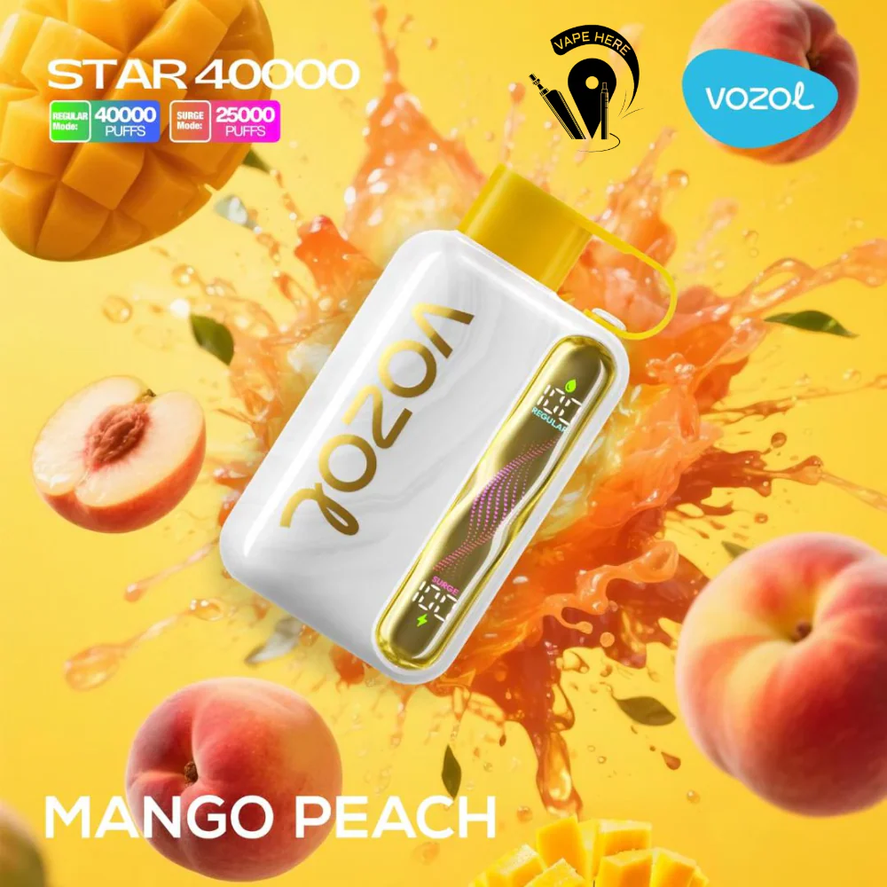 VOZOL STAR 40K DISPOSABLE VAPE (Dual Power Mode) - Image 9