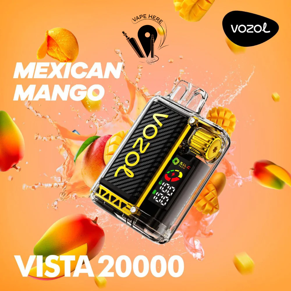 VOZOL VISTA 20000 PUFFS DISPOSABLE VAPE - Image 18