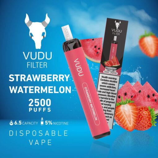 VUDU FILTER DISPOSABLE 2500 PUFFS (50MG) - Image 7