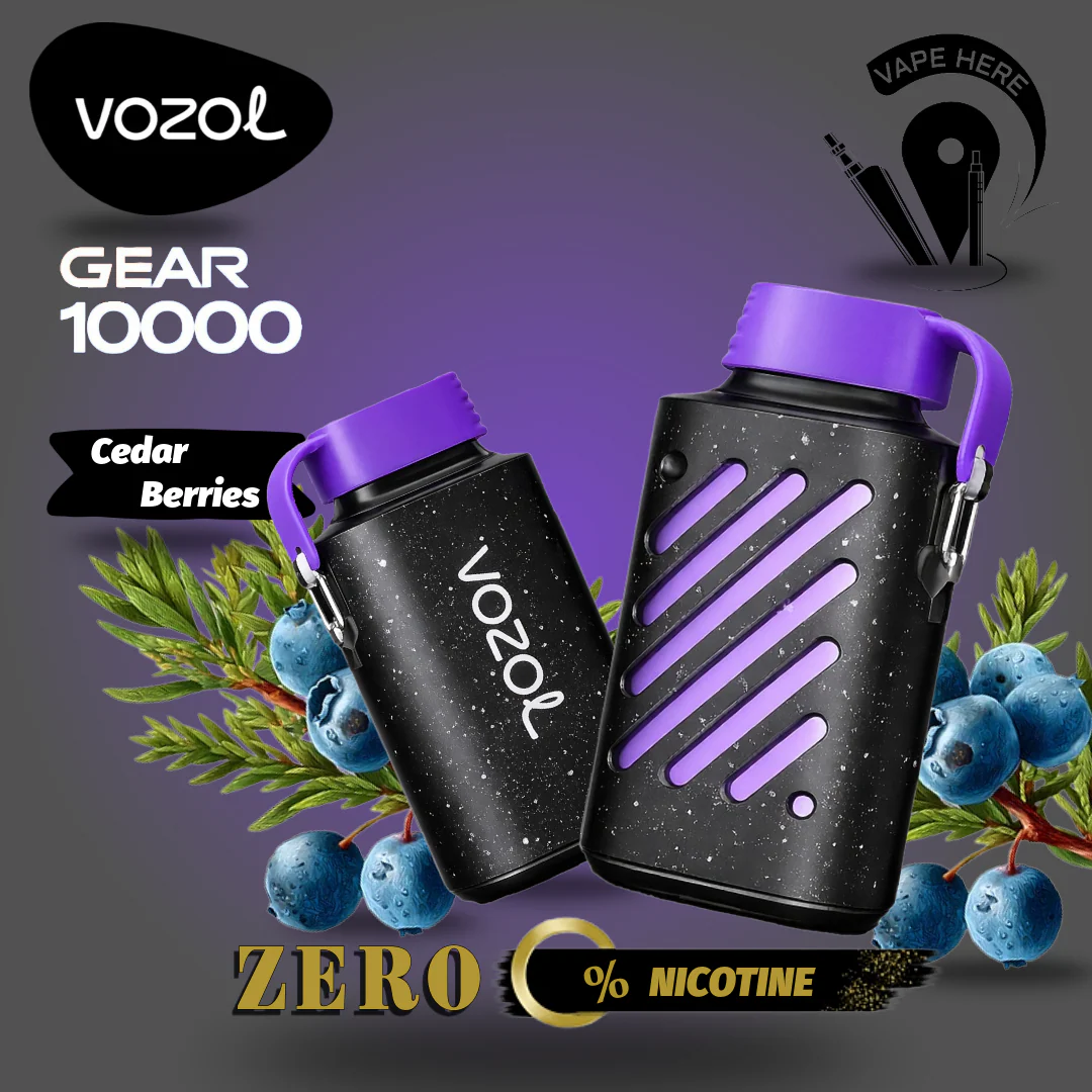 ZERO Nicotine - VOZOL GEAR 10K Puffs Disposable Vape - Image 4
